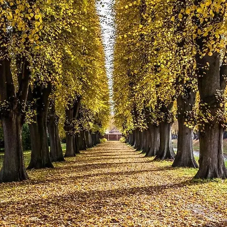 La Cigale Comfortable Villa *