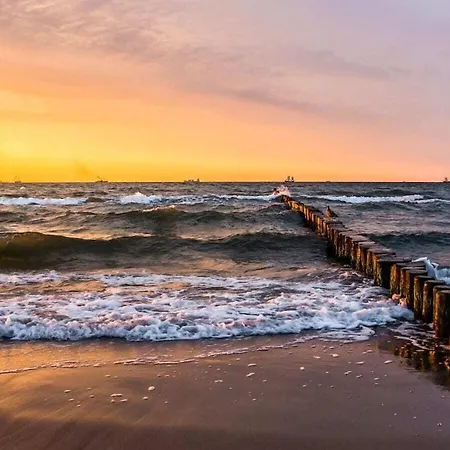 La Cigale Comfortable