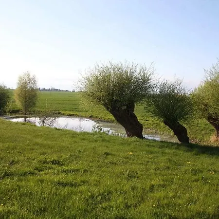 Villa La Cigale Comfortable Boltenhagen (Ostseebad)